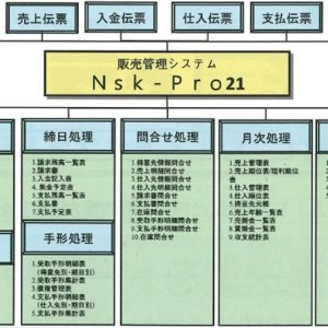 Nsk-Pro21 イメージ