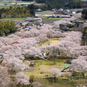 都城